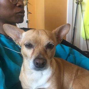 Meet your Posher, Roosevelt